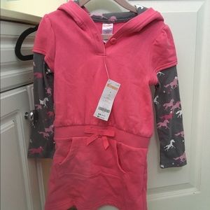 Gymboree Hooded Dress (4T)