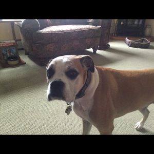 Meet your Posher, Joanne