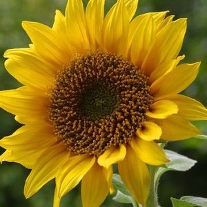 Meet your Posher, Kathie