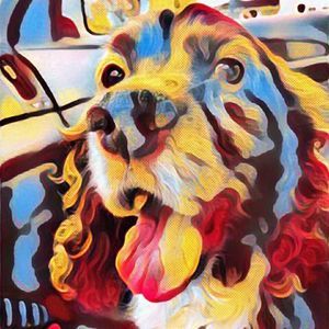 Meet your Posher, Heike