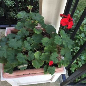 Meet your Posher, Farnaz