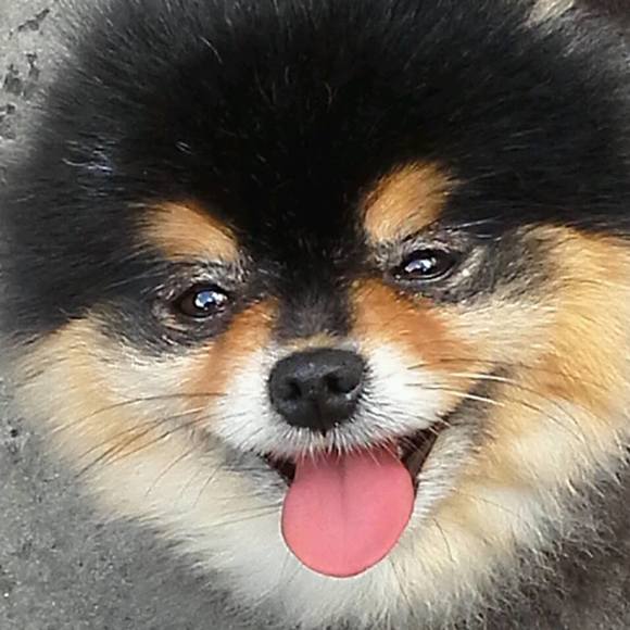 Meet your Posher, Kim