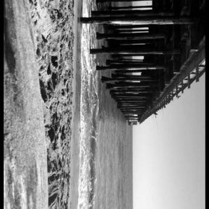 Meet your Posher, Lizbeth