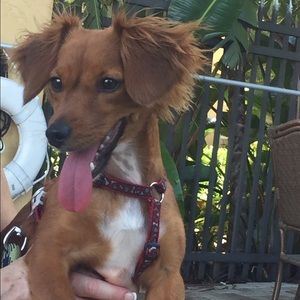 Meet your Posher, Cynthia