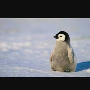 Meet your Posher, Richard