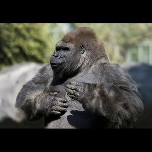 Meet your Posher, Nick