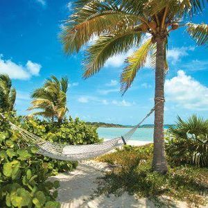 Meet your Posher, Kat