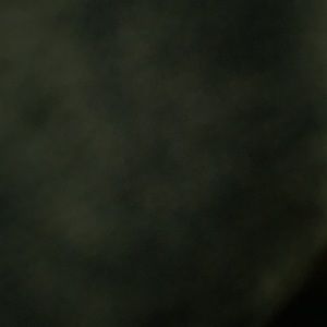 Meet your Posher, Ashanti