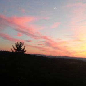 Meet your Posher, Joan