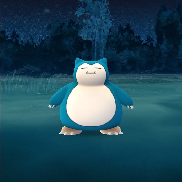 Meet your Posher, Rhen - Picture 1 of 1