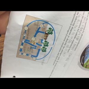 Meet your Posher, Amari