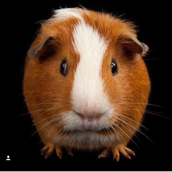 Meet your Posher, Regina - Picture 1 of 1