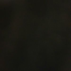 Meet your Posher, Lyndsey