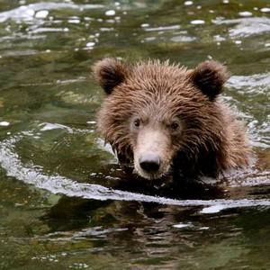 Meet your Posher, Wendy