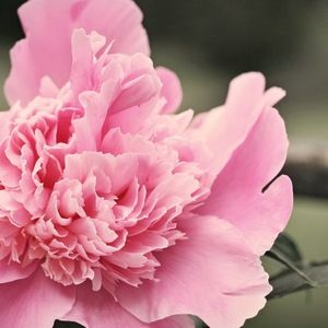 Meet your Posher, Brianne