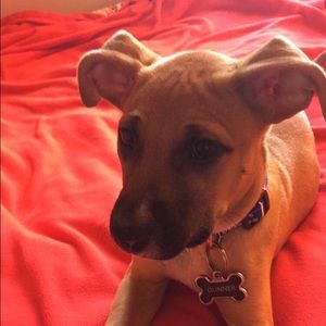 Meet your Posher, Jackie