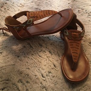 ‼️ needs gone ASAP ‼️