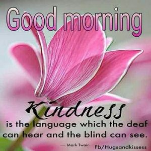 Meet your Posher, Beena