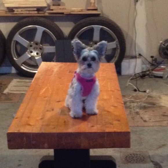 🌺Meet your Posher Team, Susan and Miss Sophie!🌺 - Picture 4 of 5