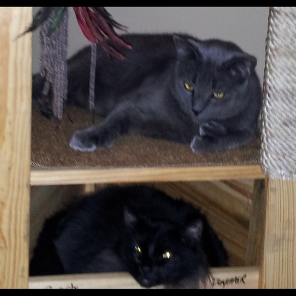 Meet Your Seller & Buyer, Kelly! - Picture 2 of 3