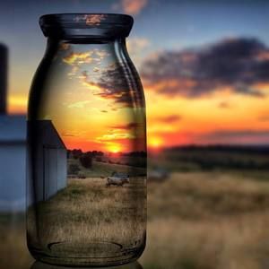 Meet your Posher, Faith