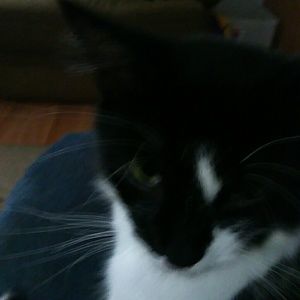 Meet your Posher, Helen