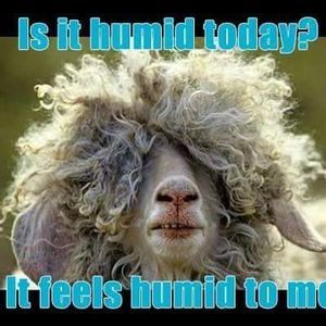 Meet your Posher, Tonya