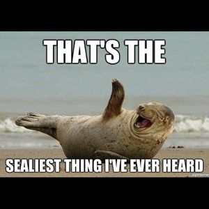 Meet your Posher, Devin