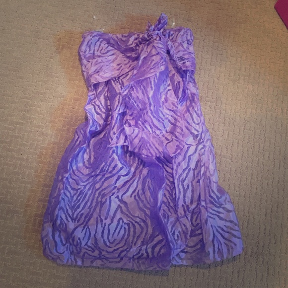 NWT Karlie Zebra Dress