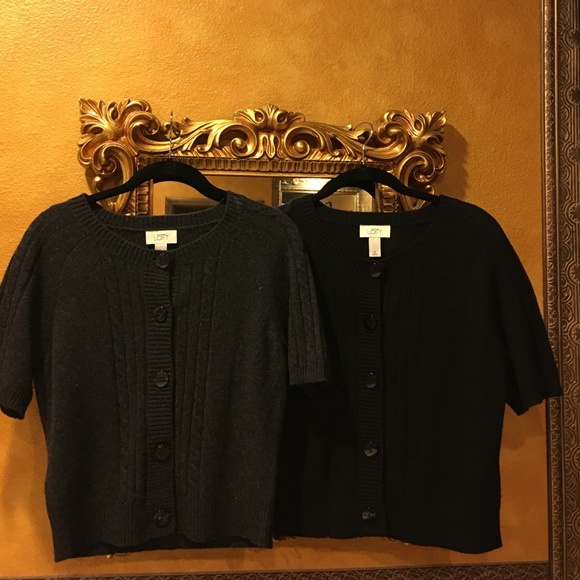Ann Taylor loft Short sleeve sweater (bundle) - Picture 1 of 4