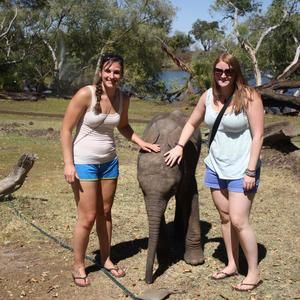 Meet your Posher, Laureen