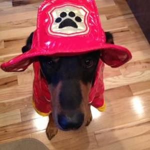 Meet your Posher, Kerry