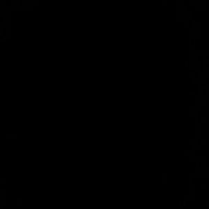 Meet your Posher, Priscilla