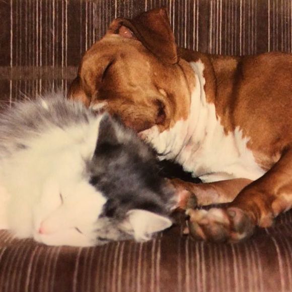 Meet your Posher, Rebecca - Picture 1 of 1