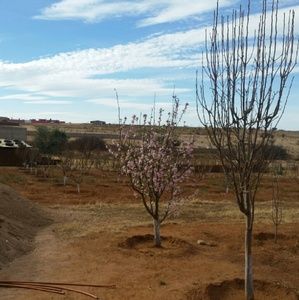 Meet your Posher, Judith