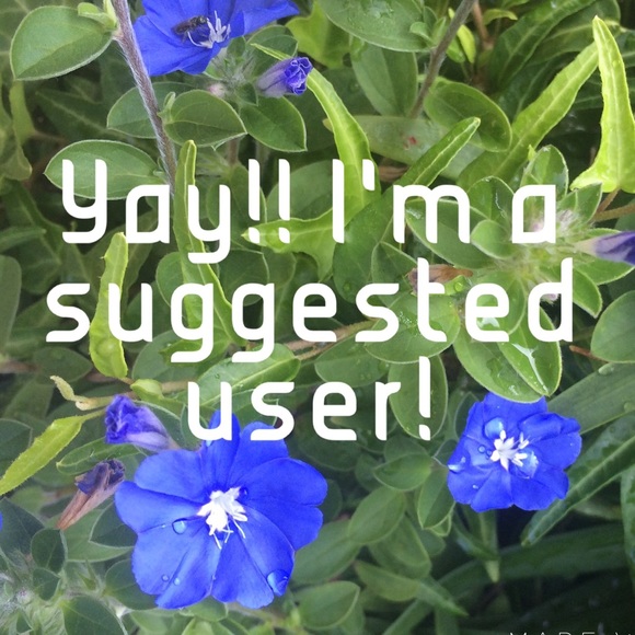 Happy Friday!! I'm a suggested user!!