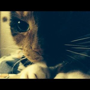 Meet your Posher, Stefanie