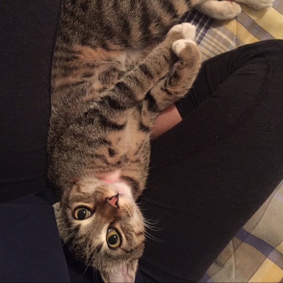 Meet your Posher, Gina - Picture 1 of 1