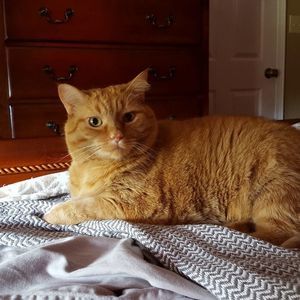 Meet your Posher, Jan