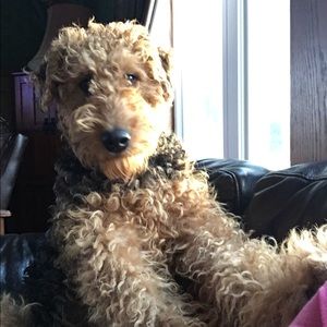 Meet your Posher, Jennifer