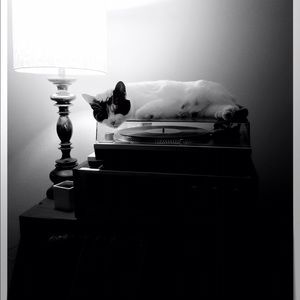 Meet your Posher, Antonios