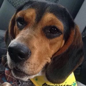 Meet your Posher, Blake