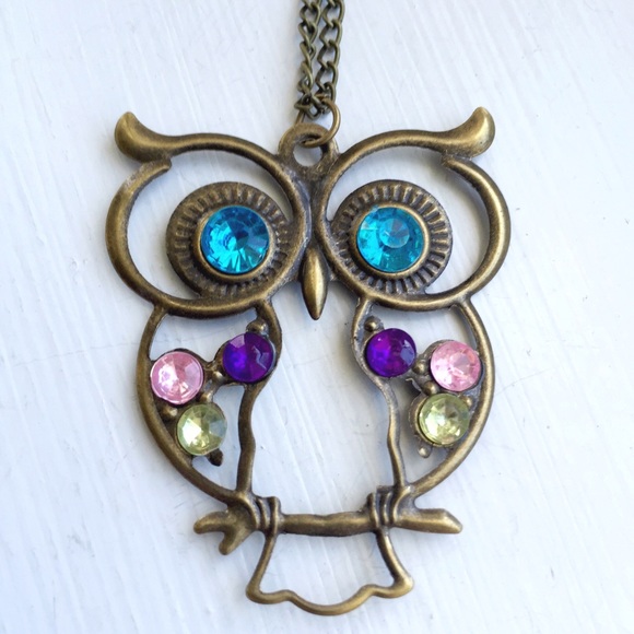 Posherpooch Jewelry - Owl Pendant Bronze Necklace New 22"