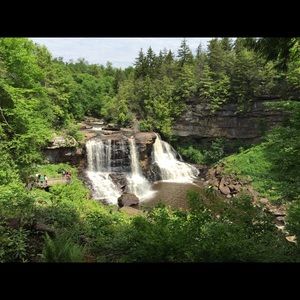 Meet your Posher, Brandy