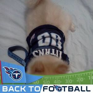 Meet your Posher, Janise