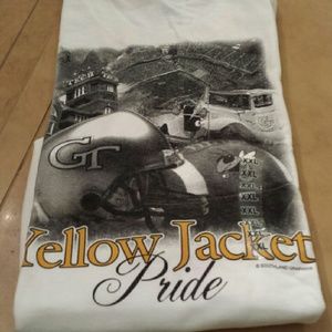 Georgia Tech Style 12