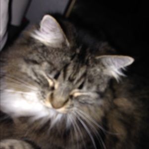 Meet your Posher, Krystal