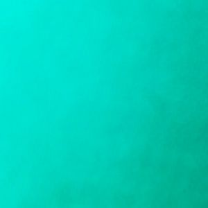 Meet your Posher, Johnna