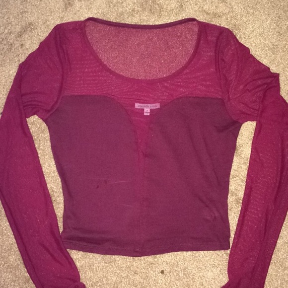 Long sleeve mesh crop top