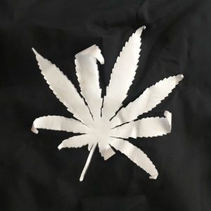 Urban Outfitters Jackets & Coats - Plant life windbreaker from sorella boutique. Urban Outfitters Jackets & Coats - Plant life windbreaker from sorella boutique.